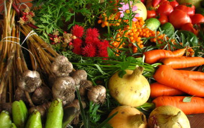 Organic Agriculture Students Sell Vegetables at Farmers Market