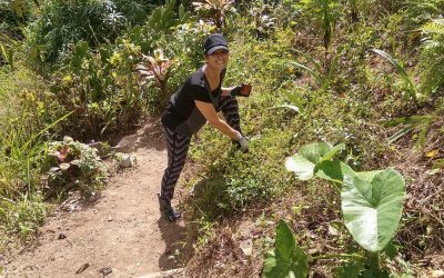 Denise Cagley-Jefferson Bringing Regenerative Farming to Jamaica